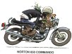 Norton